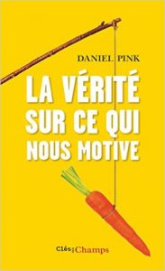Daniel Pink - Motivation