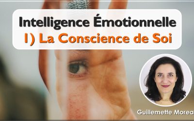Intelligence Émotionnelle – La Conscience de Soi