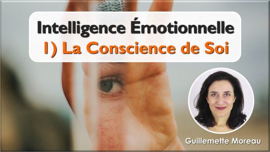 Intelligence Émotionnelle - La Conscience de soi